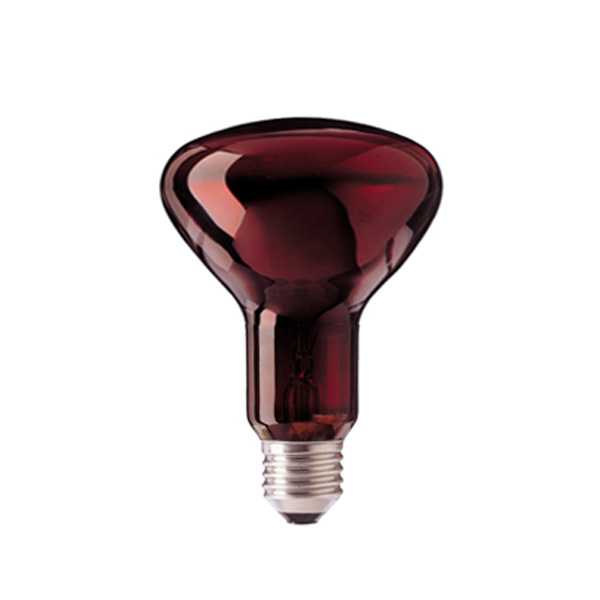 لامپ مادون قرمز ۵۰ وات لاکی هرپ