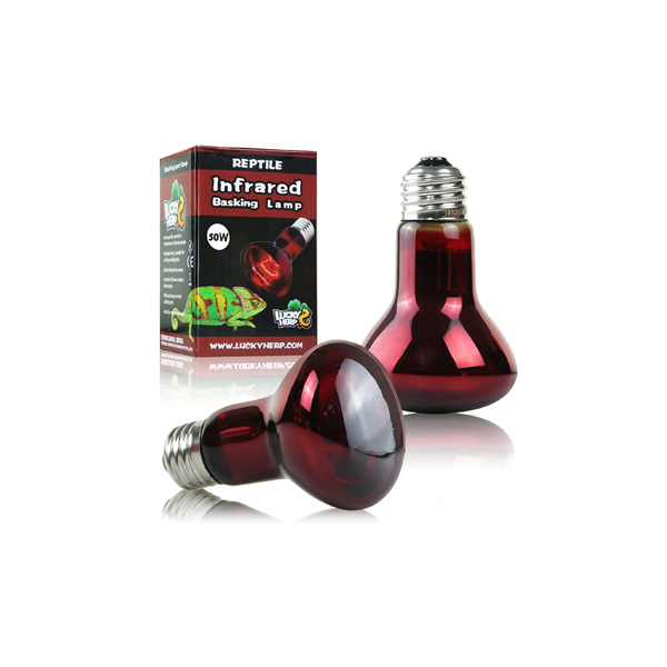 لامپ مادون قرمز ۵۰ وات لاکی هرپ