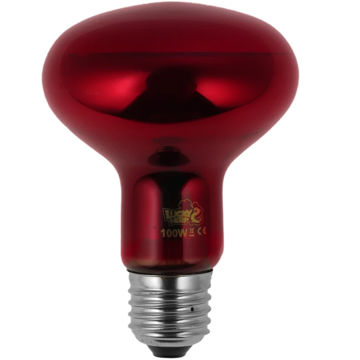 لامپ مادون قرمز ۱۰۰ وات لاکی هرپ