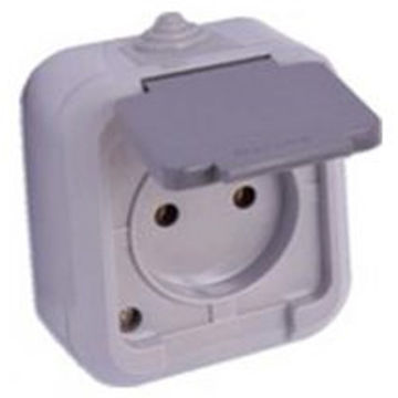 پریز برق ارت دار روکار سیلور دلند