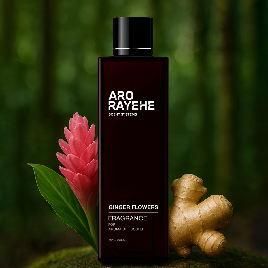 اسانس خوشبوکننده هوا زنجبیل (Ginger)