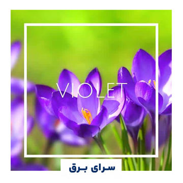 خرید اسانس خوشبو کننده هوا بنفشه (Violet)