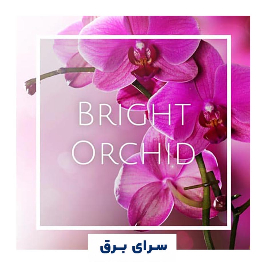 خرید اسانس خوشبو کننده هوا ارکیده (Bright Orchid)
