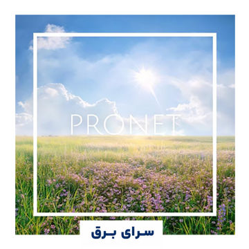 خرید اسانس خوشبو کننده هوا پرونت (Pronet)