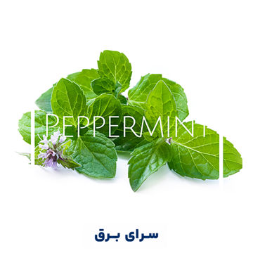 خرید اسانس خوشبو کننده هوا نعناع (Mint)