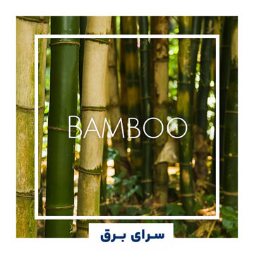 خرید اسانس خوشبو کننده هوا بامبو (Bamboo)