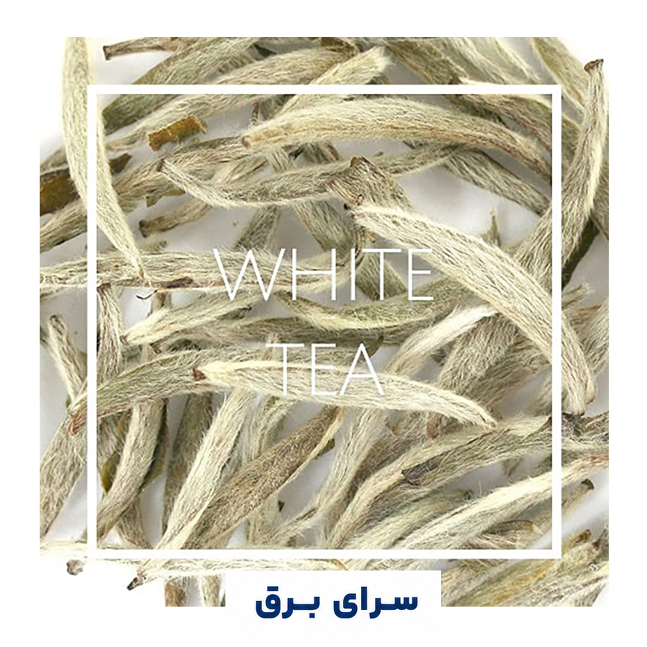 خرید اسانس خوشبو کننده هوا چای سفید (White Tea)