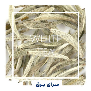 خرید اسانس خوشبو کننده هوا چای سفید (White Tea)