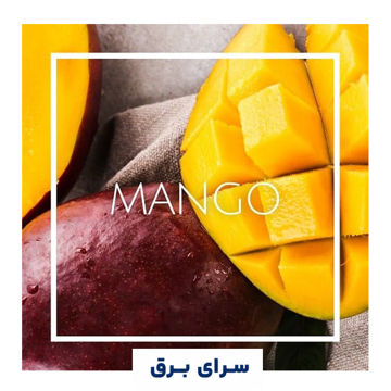 خرید اسانس خوشبو کننده هوا انبه (mango)
