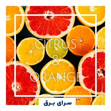 خرید اسانس خوشبو کننده هوا مرکبات (citrus & orange)