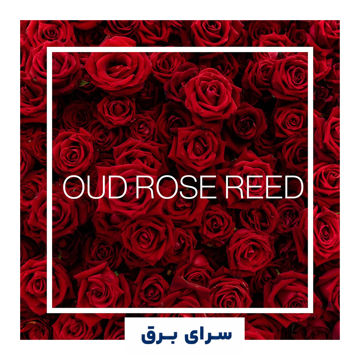 خرید اسانس خوشبو کننده هوا عود رز رید (Oud Rose Reed)