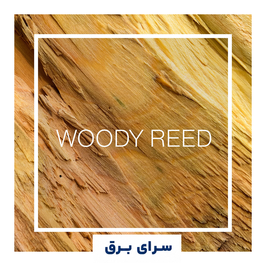 خرید اسانس خوشبو کننده هوا وودی رید (Woody Reed)