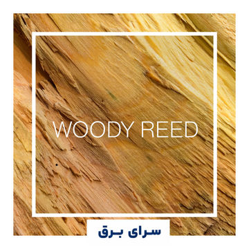 خرید اسانس خوشبو کننده هوا وودی رید (Woody Reed)