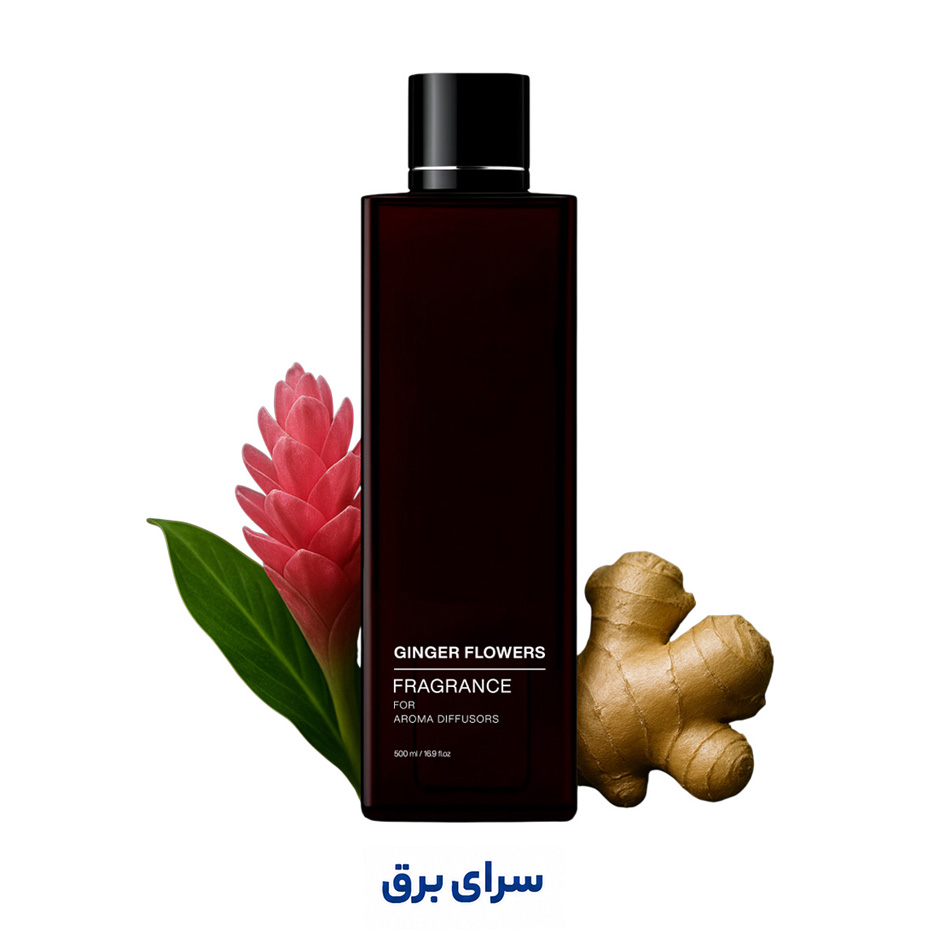 خرید اسانس خوشبوکننده هوا زنجبیل (Ginger)