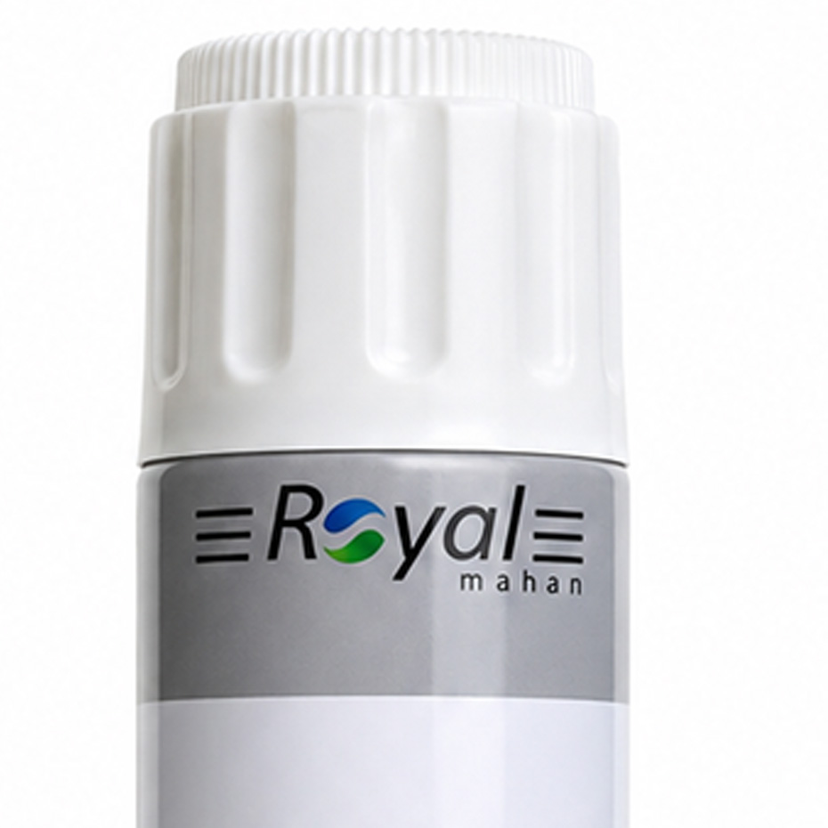 اسپری کف فرچه دار رویال مدل ROYAL R-530C 650ml