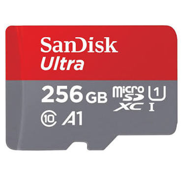 تصویر برای دسته  Micro SD 256GB